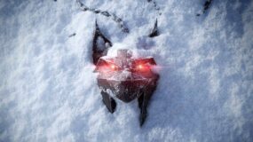 The Witcher 4.