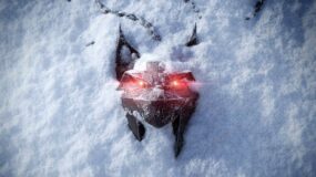 Portada de referencia de The Witcher 4