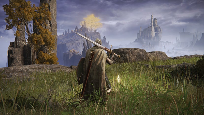 El protagonista de Elden Ring observa el paisaje junto a un lugar de gracia.